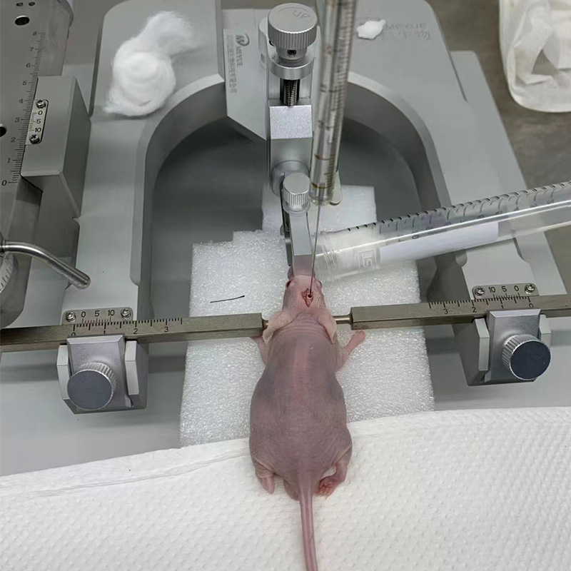 武漢大學(xué)-標準型腦立體定位儀