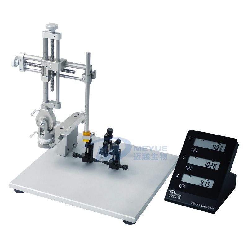 M5085 Lightweight Digital Display Young Rats And Mouse Brain